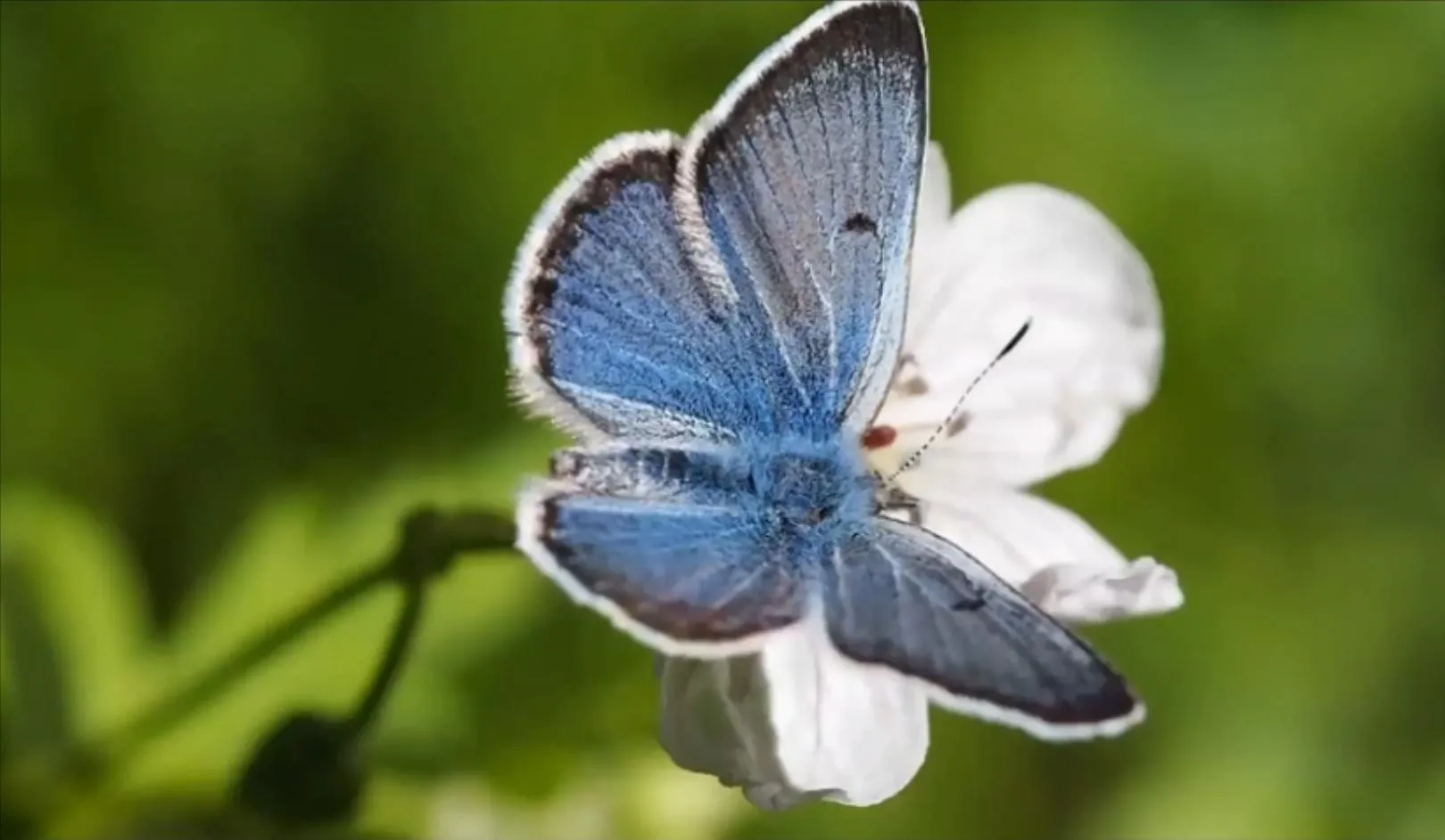 AI Motion Design — Smart, Realistic Movement