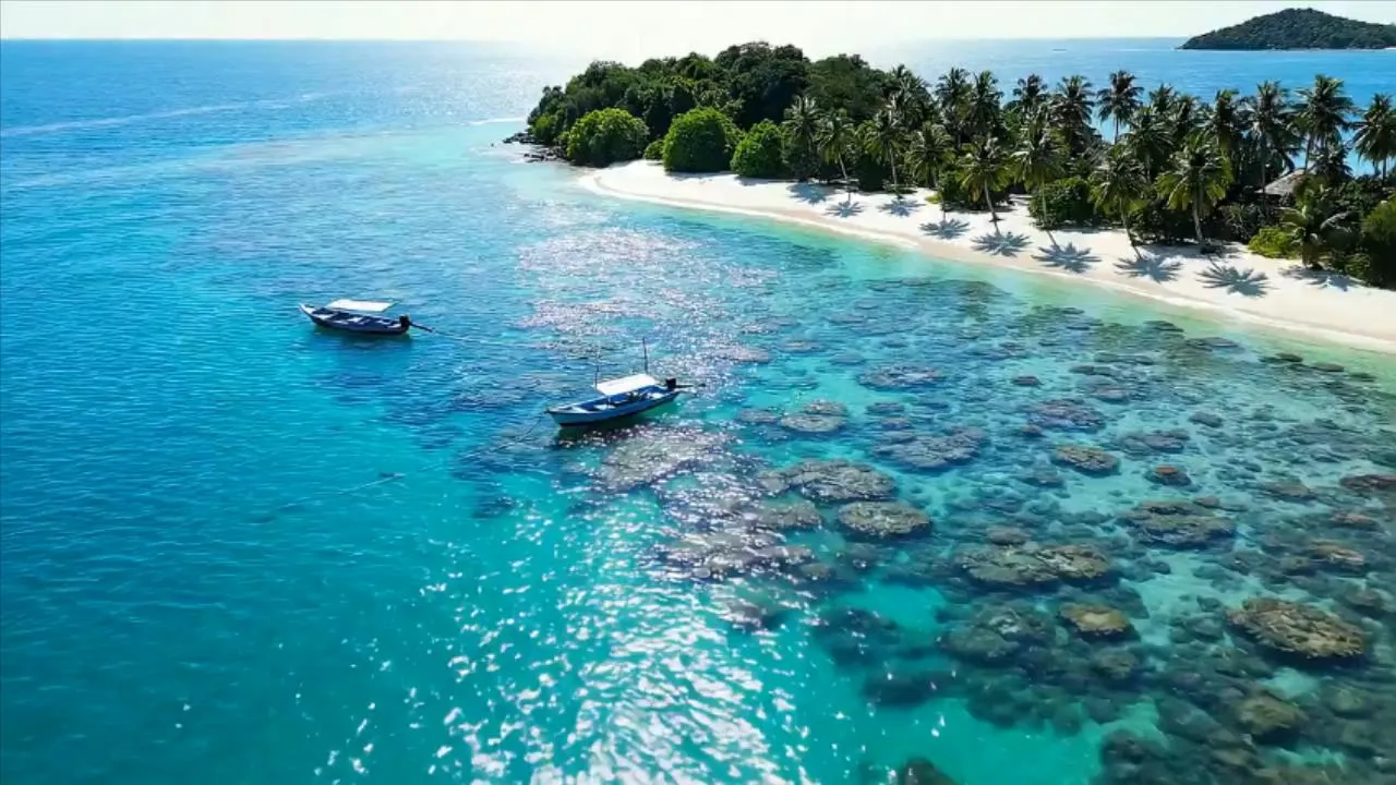 Lone Warrior in Wasteland